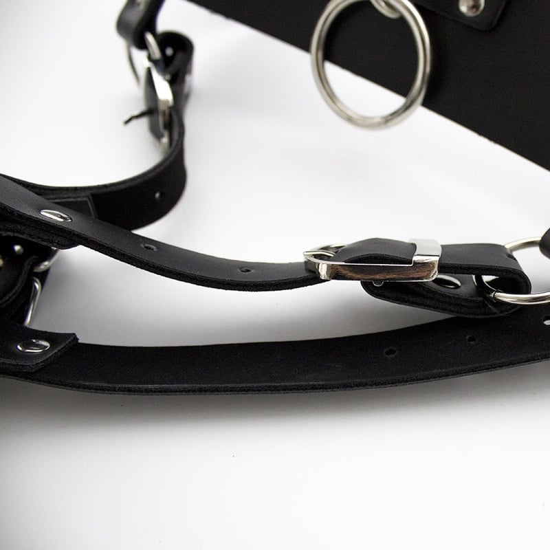 MyDzire Dominatrix Bondage Briefs