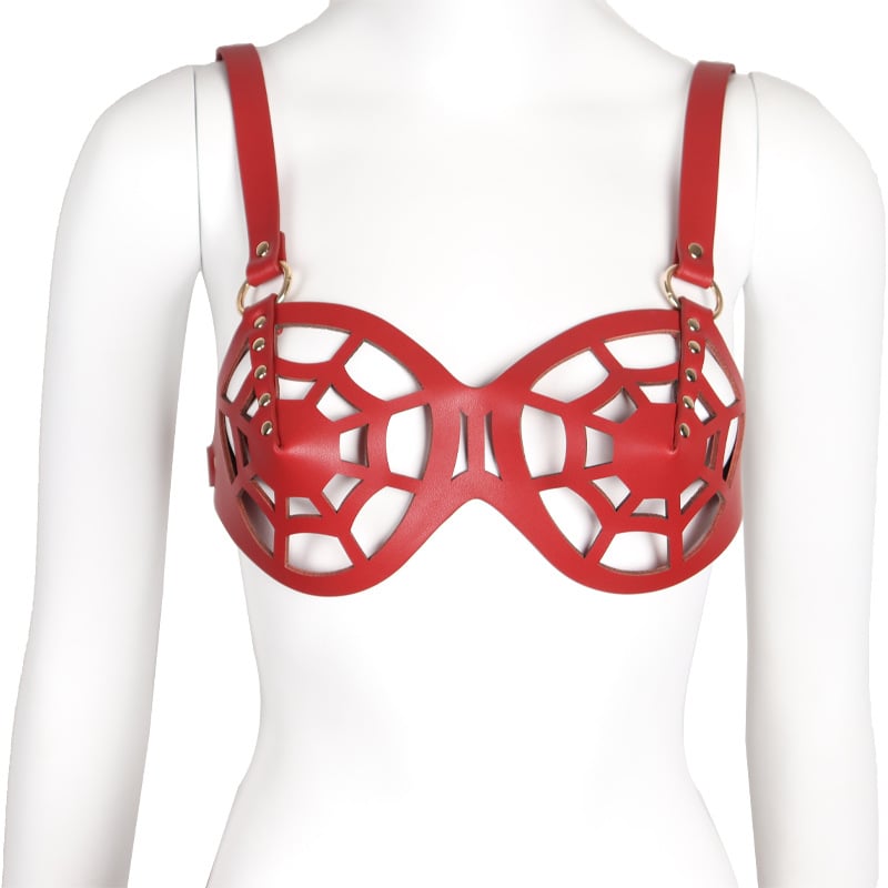 MyDzire Spider-Web Bondage Lingerie