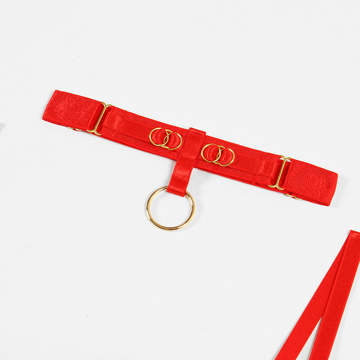 Magnificent Rose Bra & Panty Set